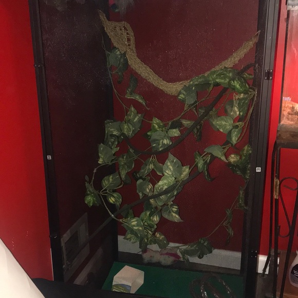 LONG LARGE SCREEN chameleon/reptile cage - Picture 7 of 8